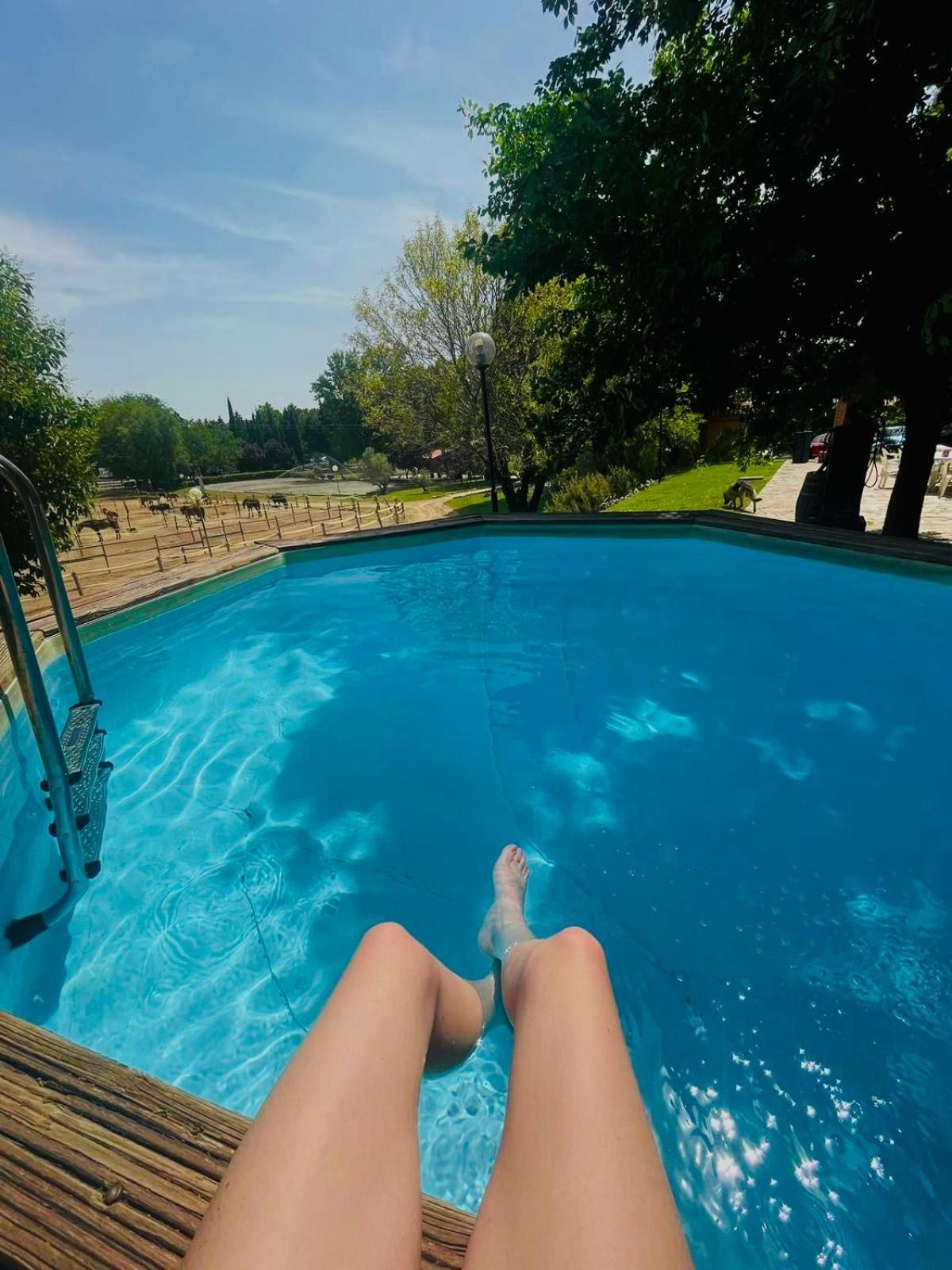 Apartment Golosina