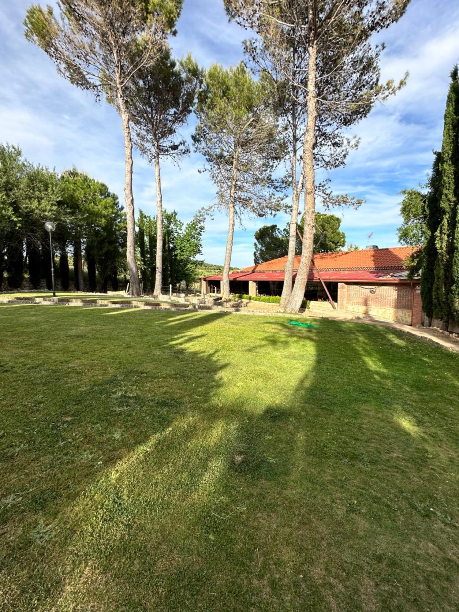 Golosina Apartment Torrelaguna
